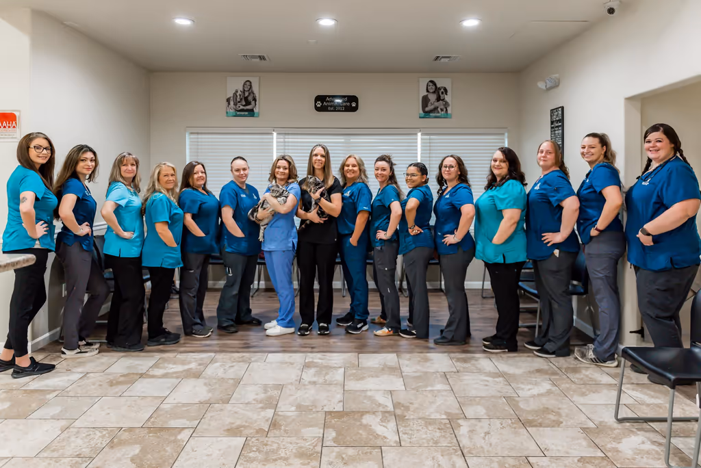 staff profile