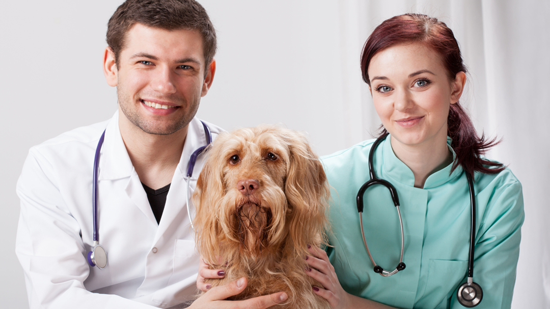 Citronelle Veterinary Clinic - Pet services facility