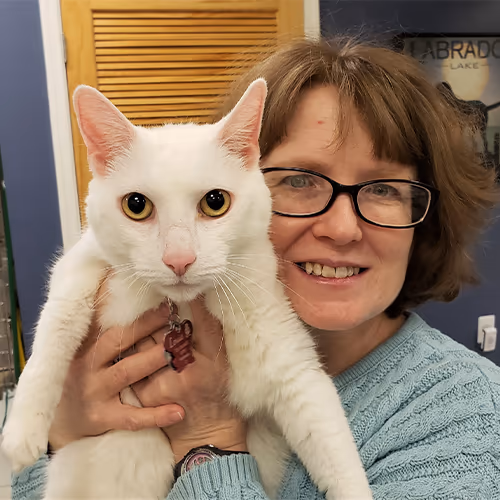 staff profile