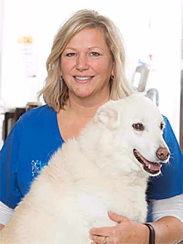 staff profile