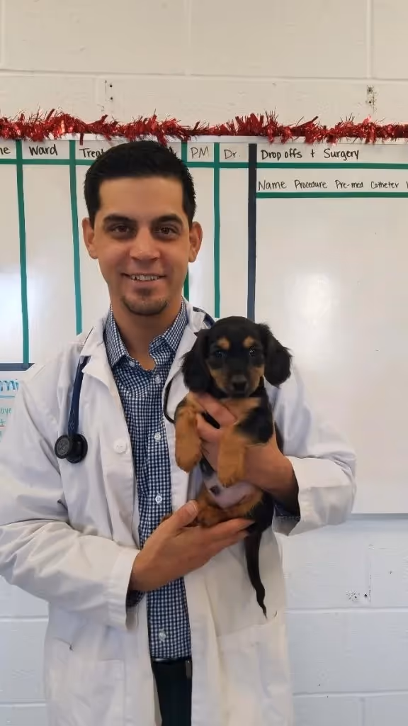 staff profile