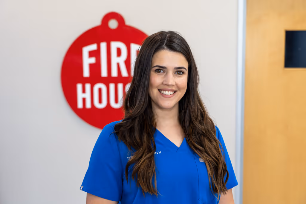 staff profile