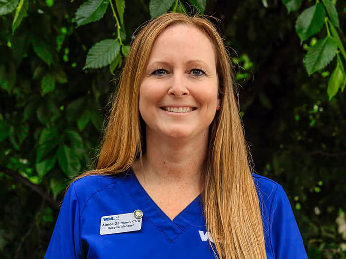 staff profile
