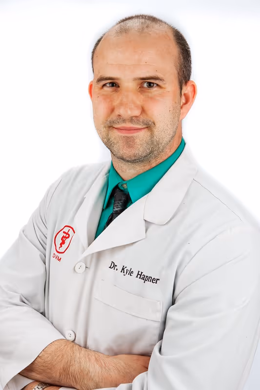 staff profile
