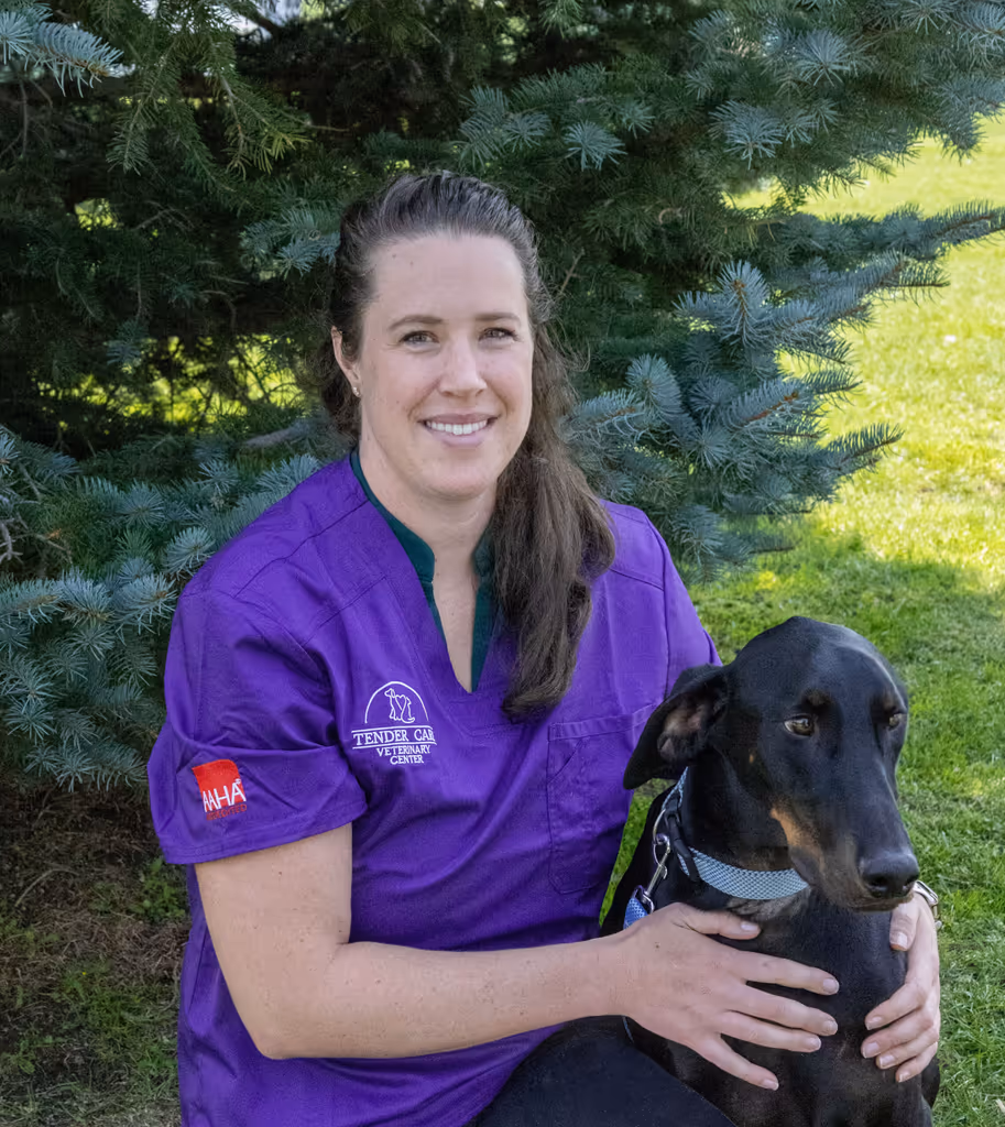 staff profile