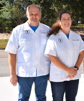 staff profile