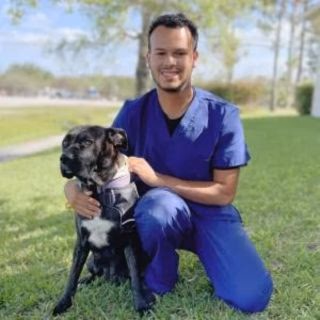 staff profile
