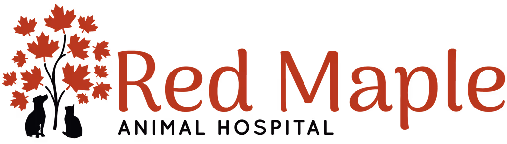 staff profile