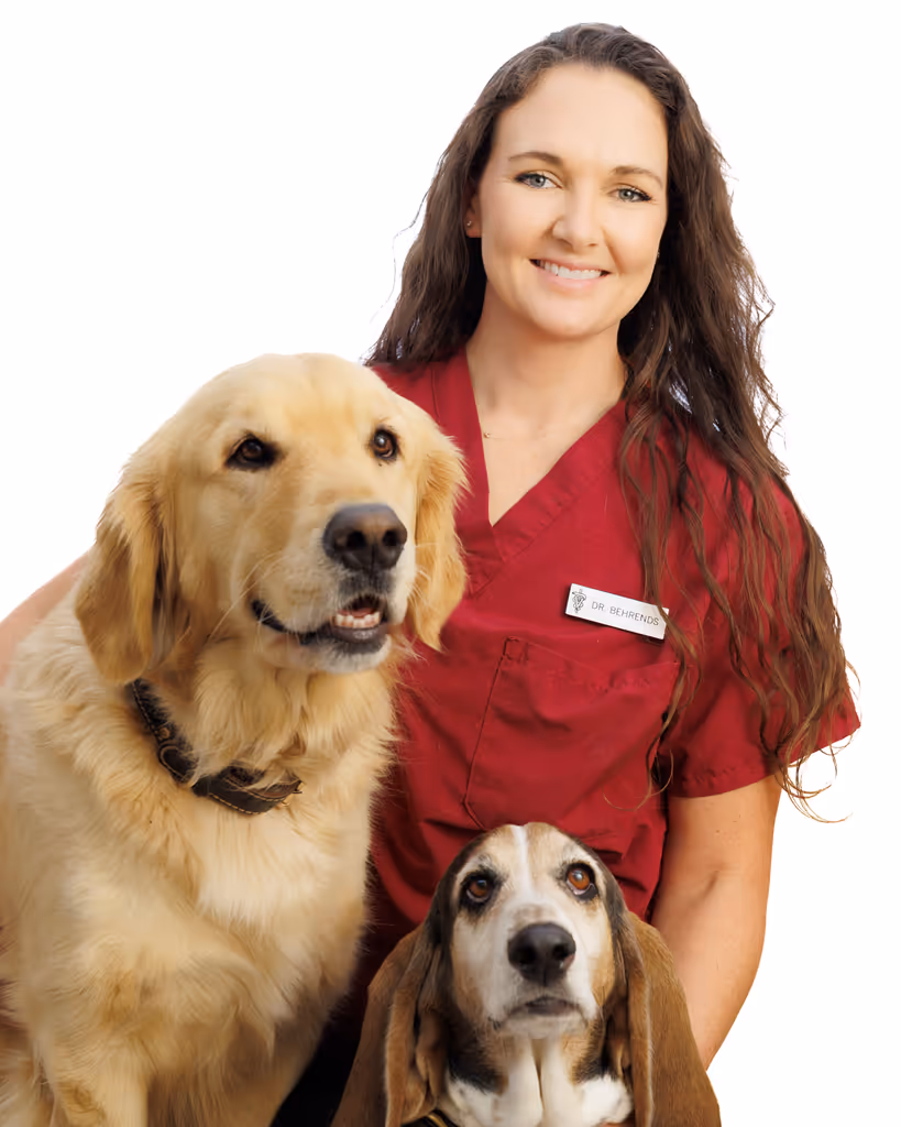 staff profile