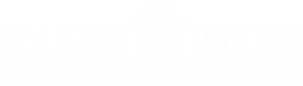 staff profile