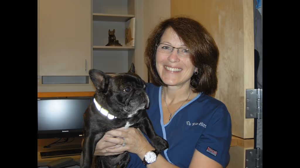 staff profile