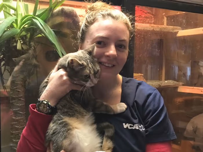 staff profile