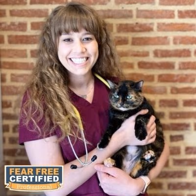 staff profile