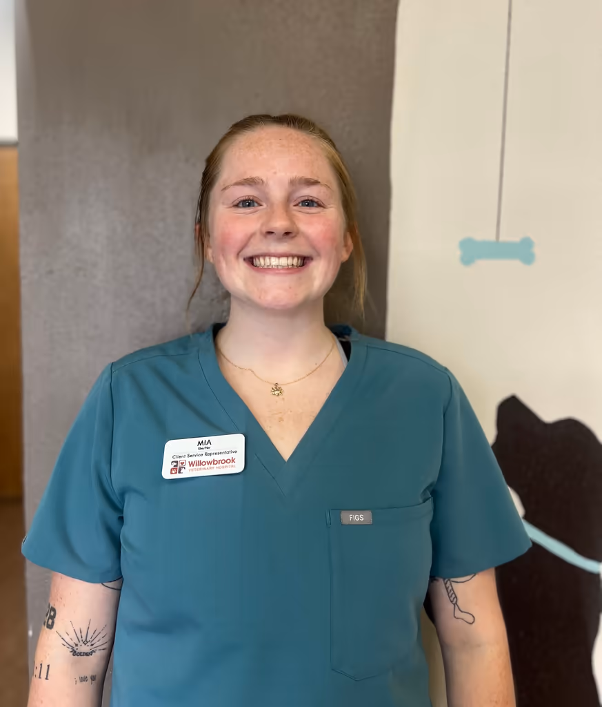 staff profile