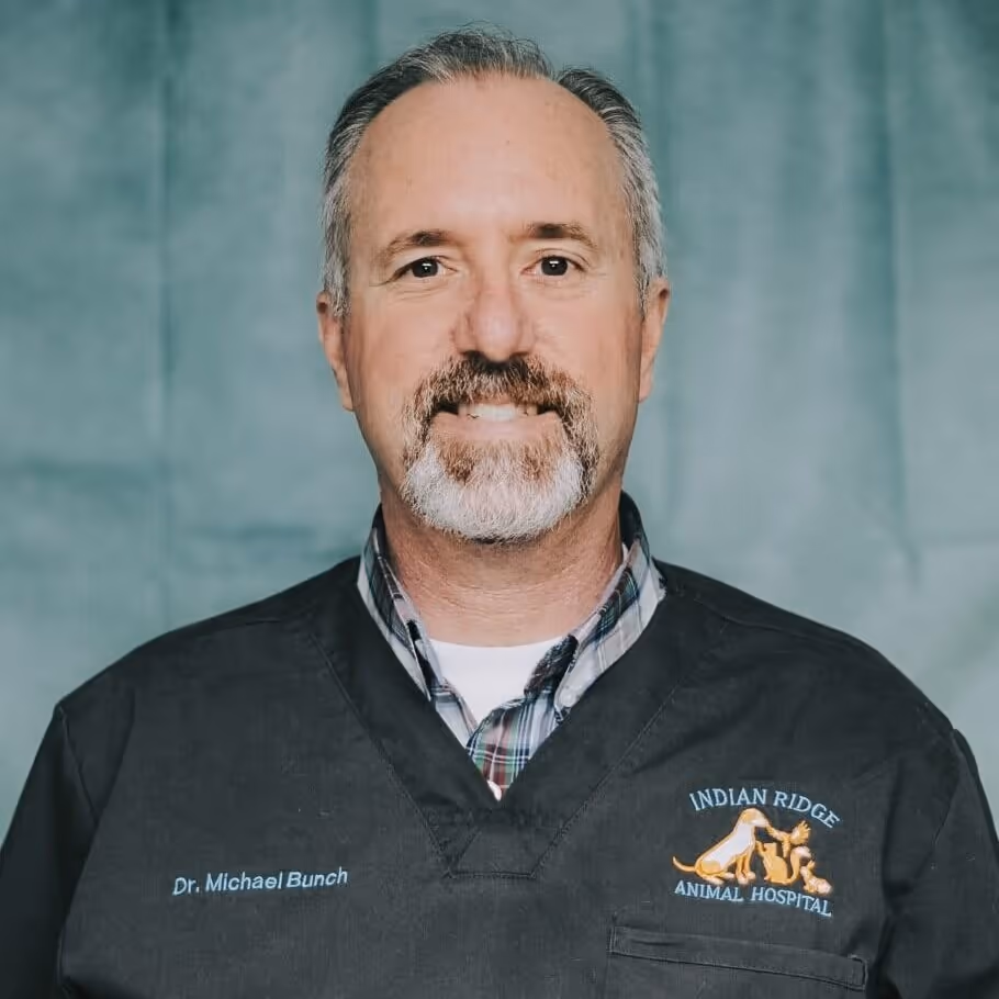 staff profile