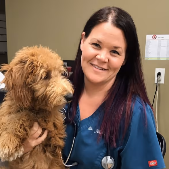 staff profile