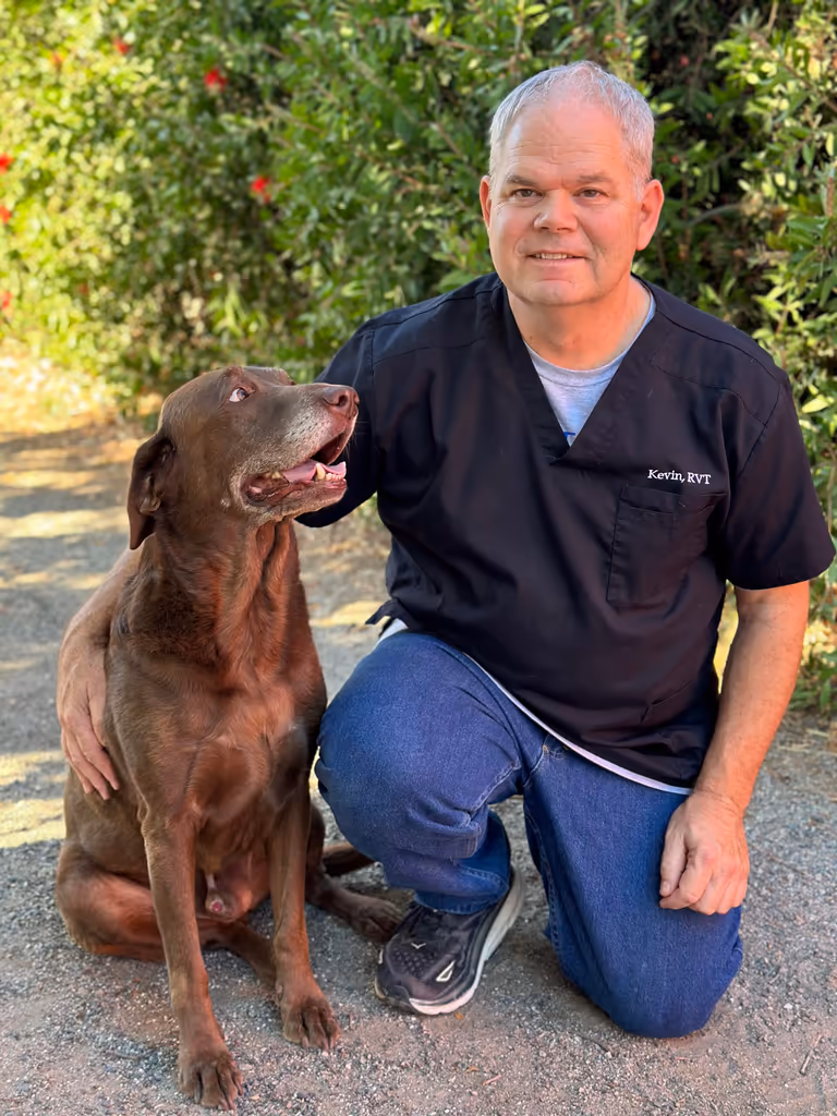 staff profile
