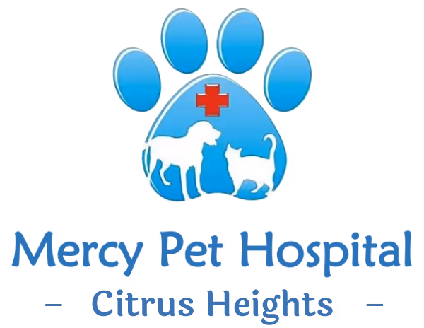 staff profile