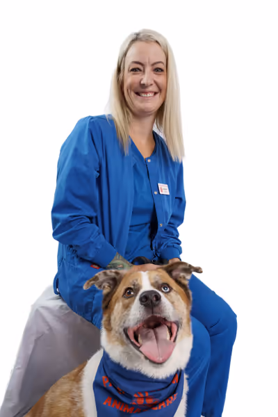 staff profile