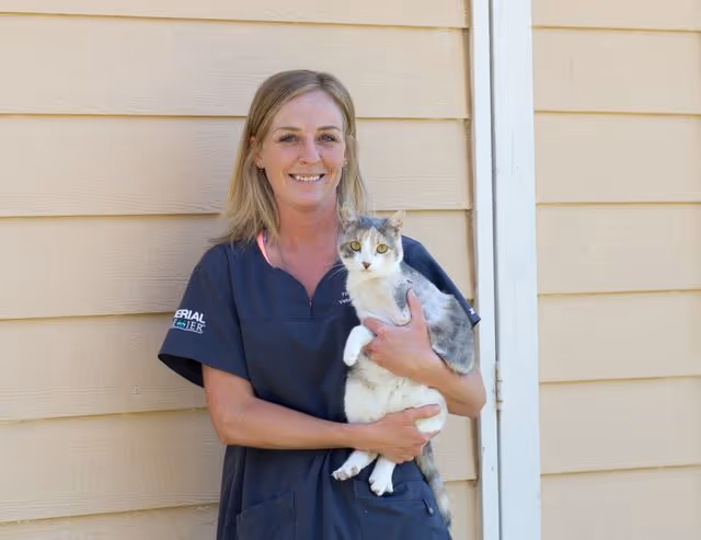 staff profile