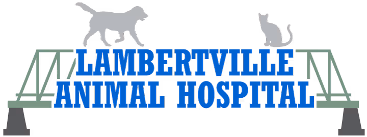 facility profile image