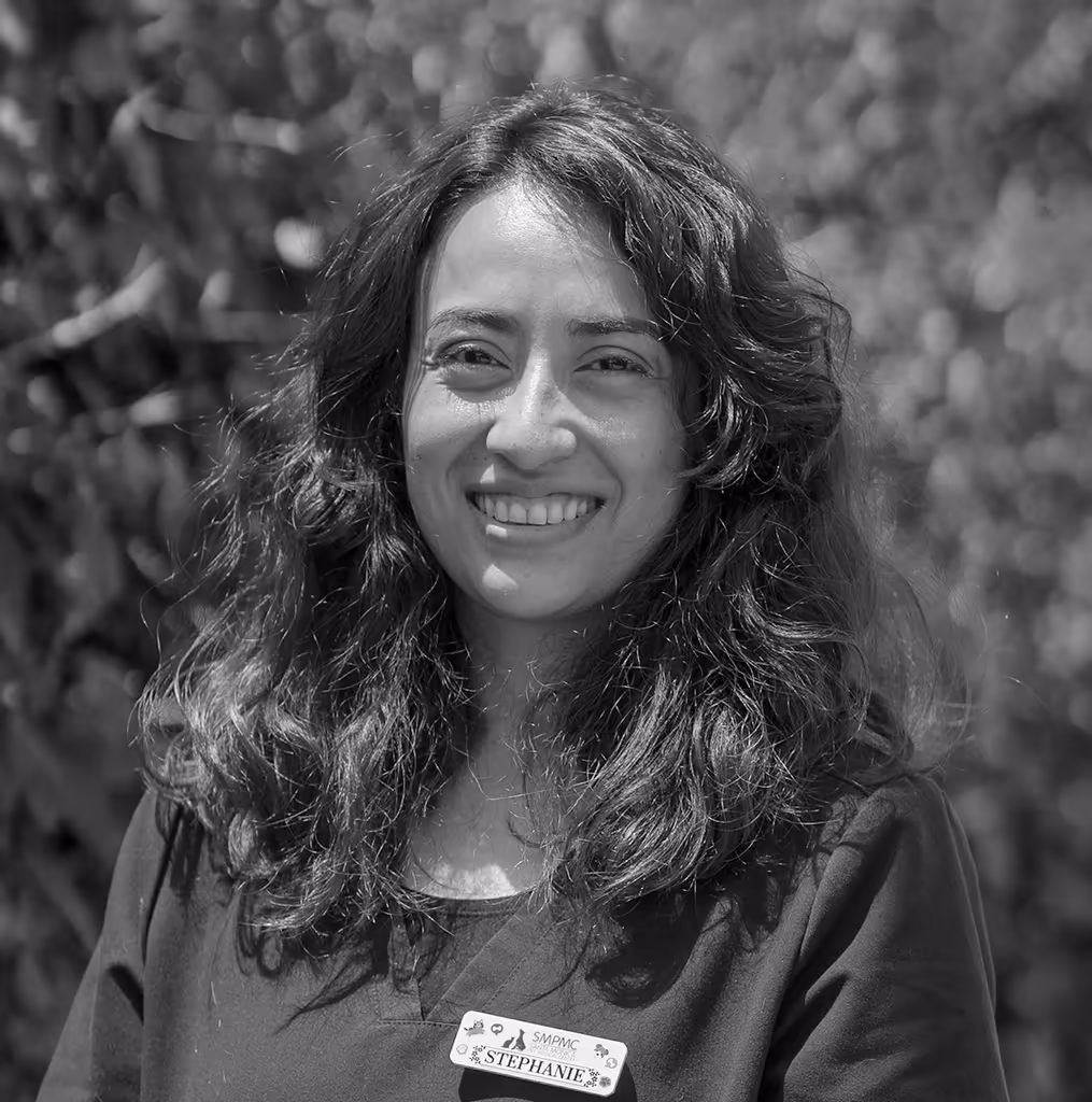 staff profile