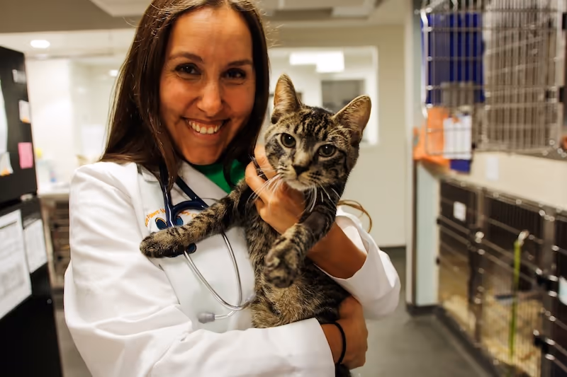 staff profile