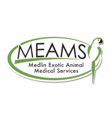 staff profile