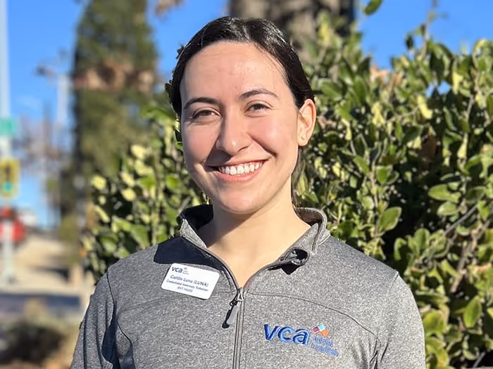 staff profile