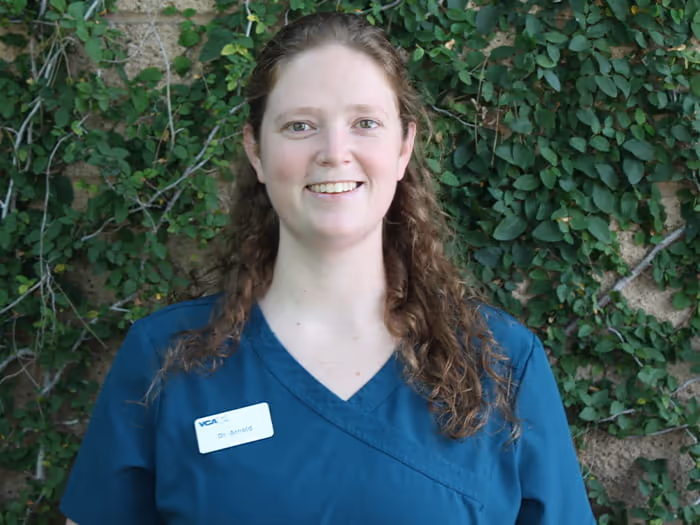 staff profile