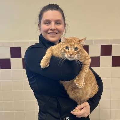 staff profile