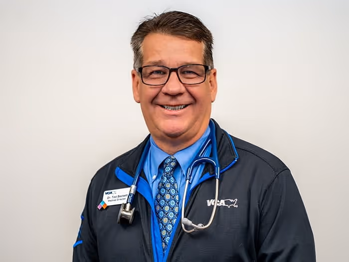 staff profile