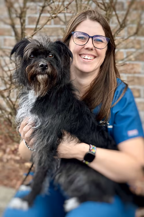 staff profile