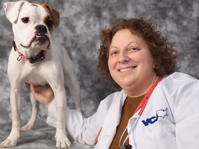 staff profile