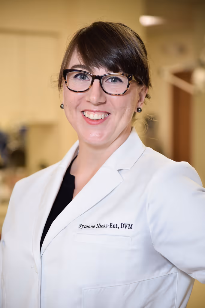 staff profile