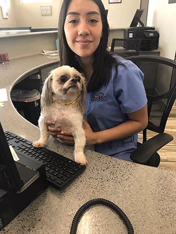 staff profile