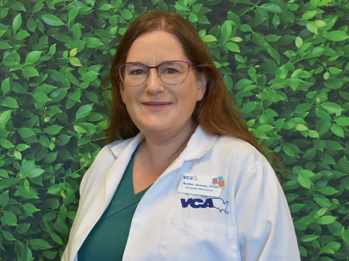 staff profile