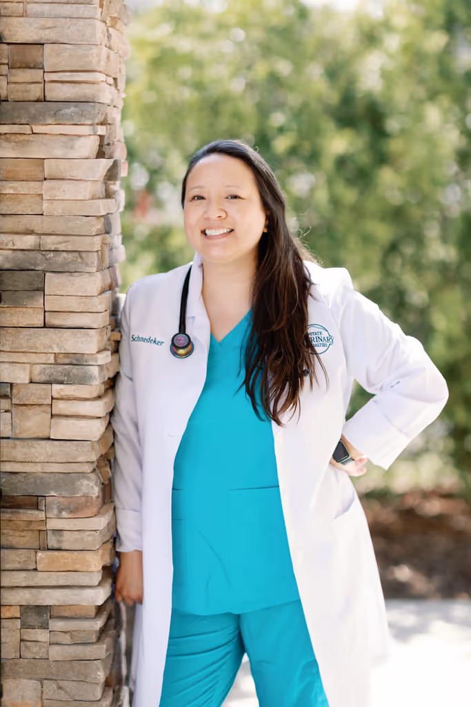 staff profile