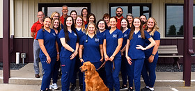 staff profile