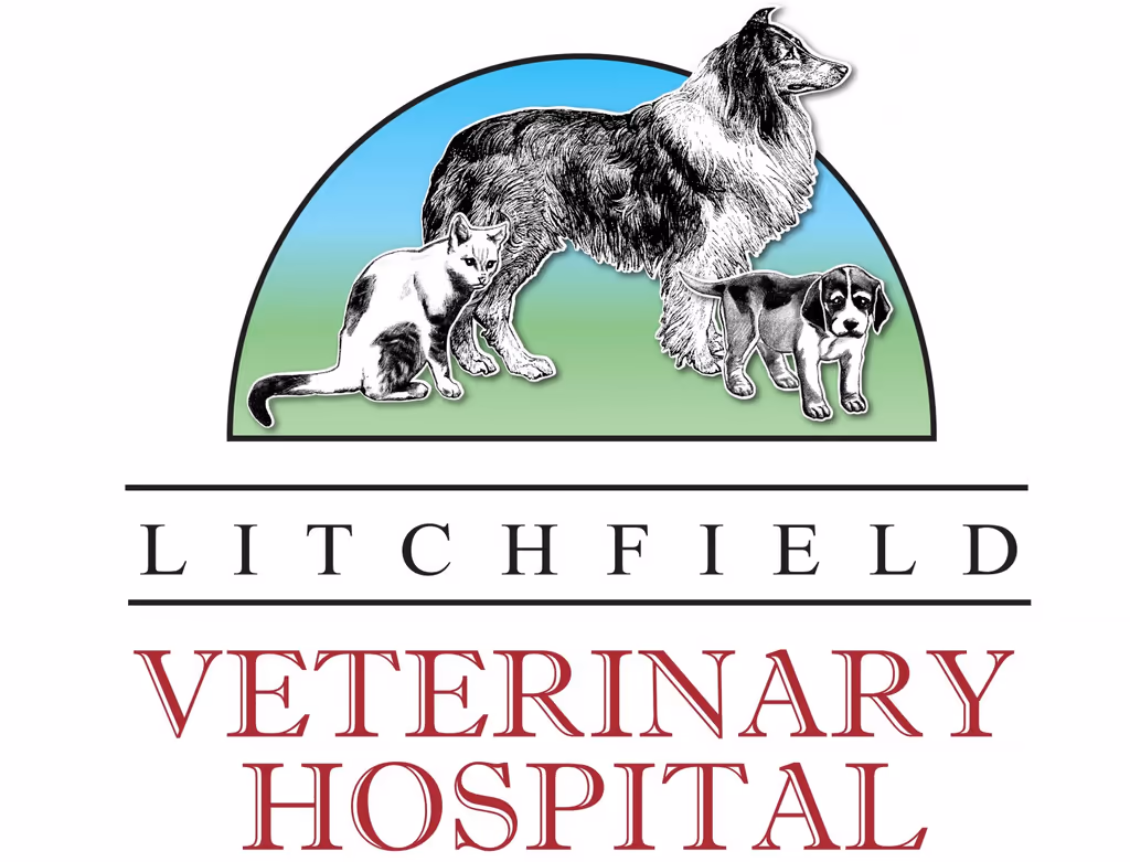 facility profile image