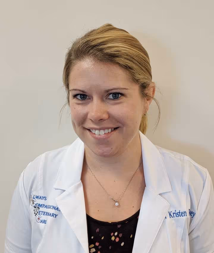 staff profile