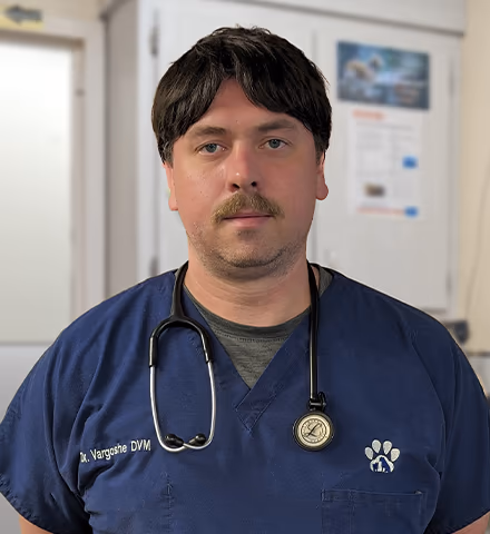 staff profile