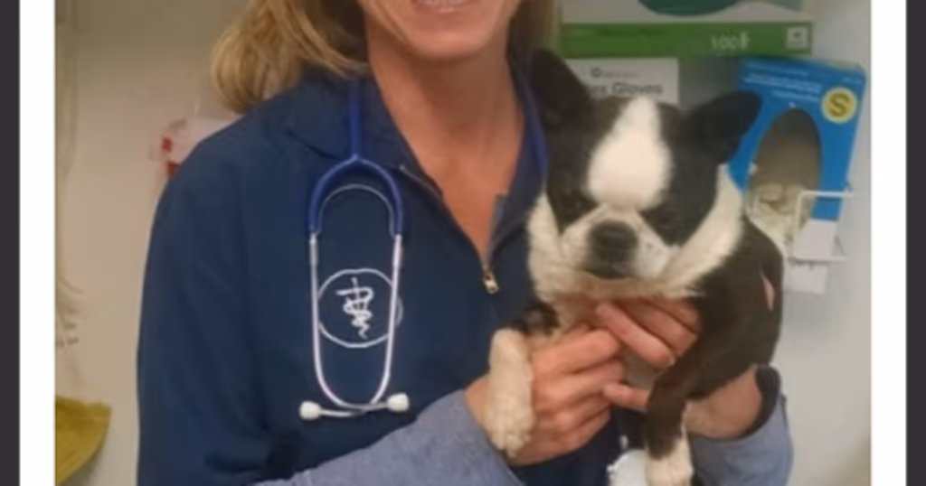 staff profile