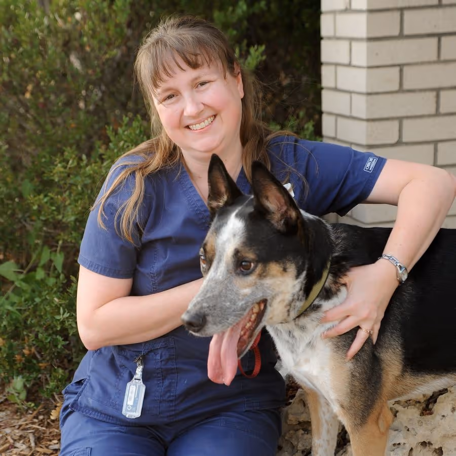 staff profile