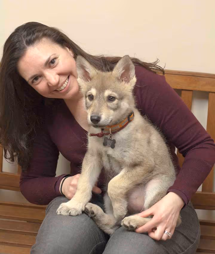 staff profile