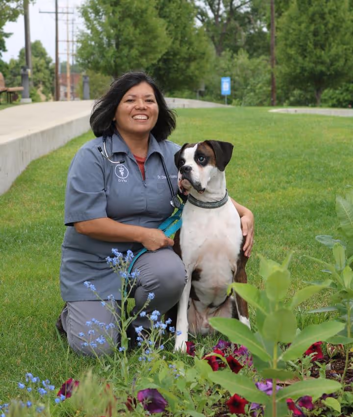 staff profile