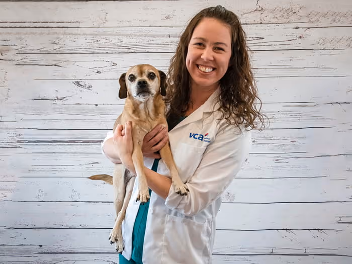 staff profile
