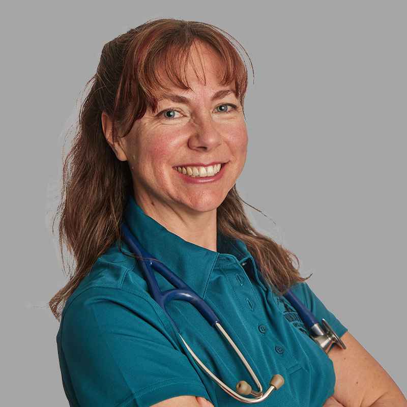 staff profile