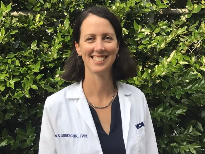 staff profile