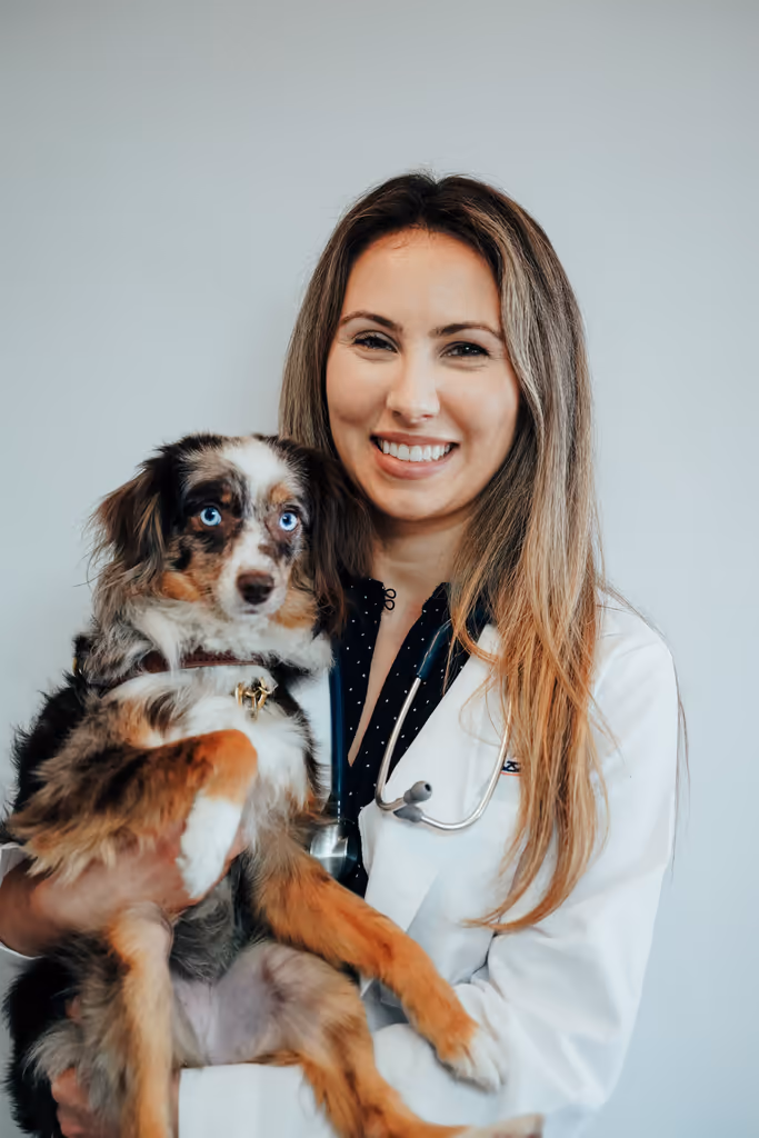 staff profile